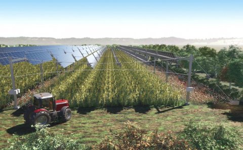 Panneaux photovoltaïques en ombrières agricoles